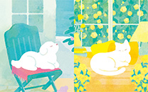 SUU（スー） 第1弾