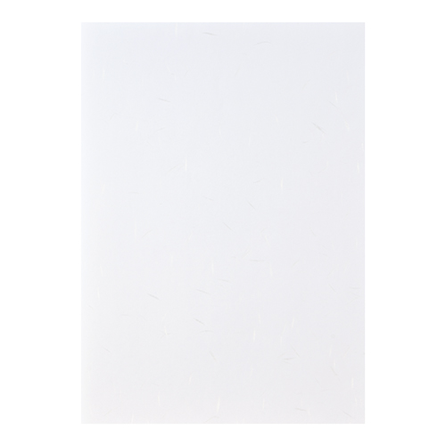 コピー和紙 A4 ホワイト 500枚 カミ-4AWバラ