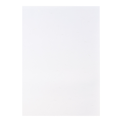コピー和紙 B4 ホワイト 500枚 カミ-4BWバラ
